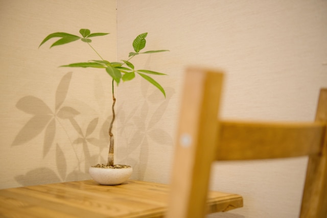 ゲストハウス田家