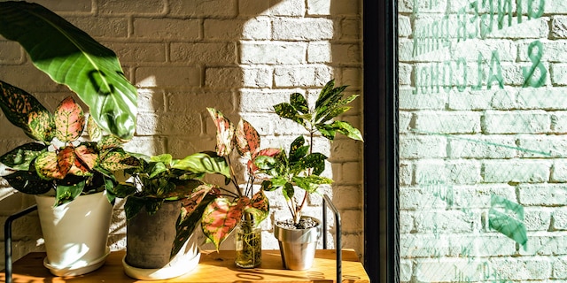 ホテル パシフィック金沢