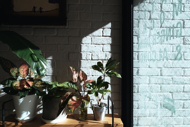 ホテル パシフィック金沢