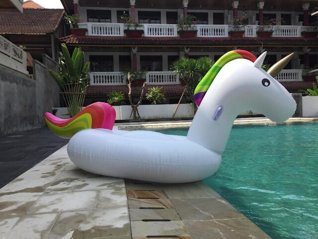 パーム ガーデン クタ ホテル