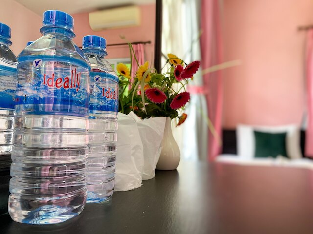 ミクセイ パラダイス ホテル