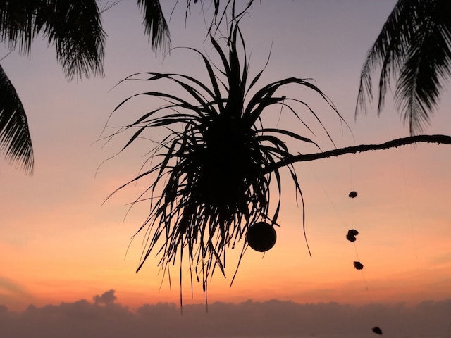 バーンチャイレイ リゾート