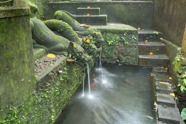 ブク ベジ ウブド