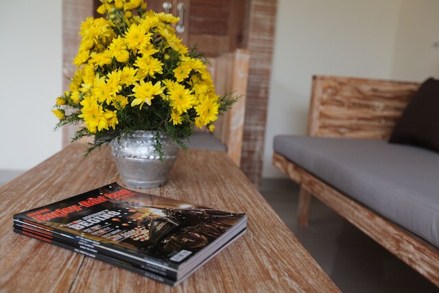 ウマ デ ヴィラ サヌール