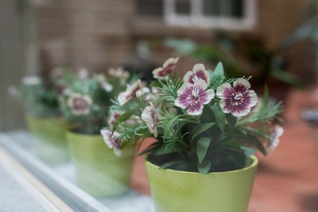 ホスタル ヴェローナ