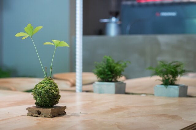 シャオ グアン 188 (勺光 -188)