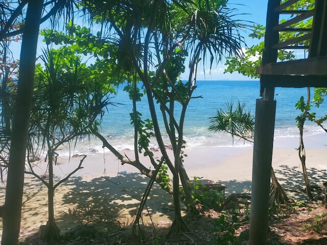 ジャングル ヒル ビーチ バンガロー