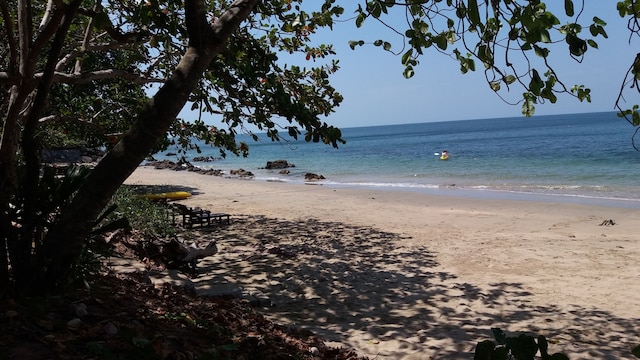 ジャングル ヒル ビーチ バンガロー