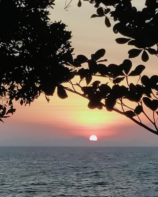 ジャングル ヒル ビーチ バンガロー