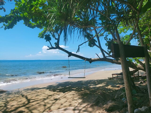 ジャングル ヒル ビーチ バンガロー