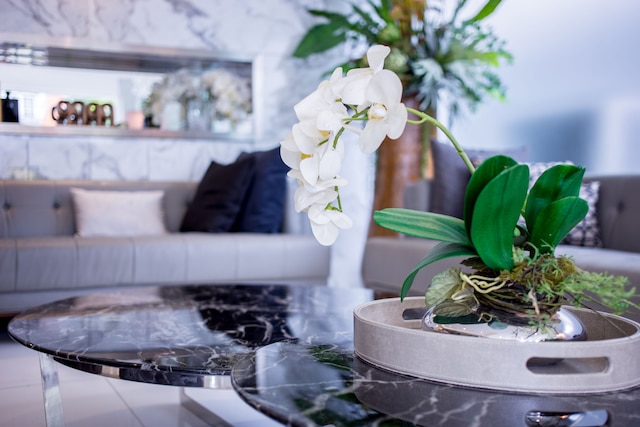 キュービック ベッド プラトゥーナム - ホステル