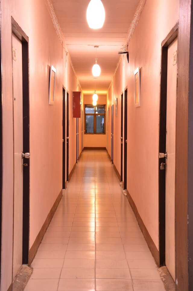 ザ バックパッカー ステーション