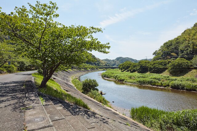 花のおもてなし南楽