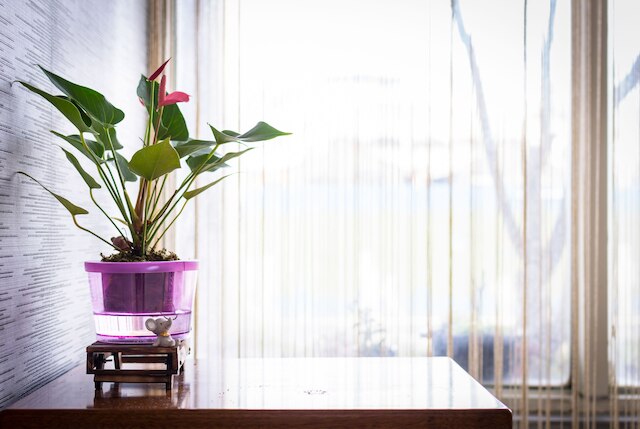 ゴールデン フェニックス ホテル (金鳳凰商務旅館)