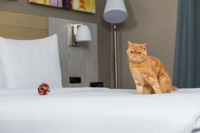 ダブルツリー バイ ヒルトン ニューヨーク タイムズ スクエア ウェスト