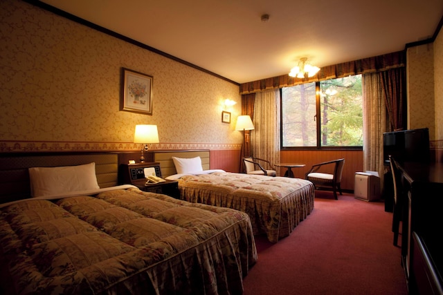 高山わんわんパラダイス