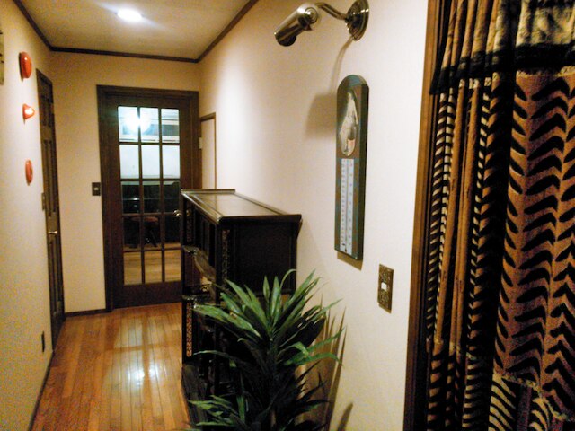 白馬スキーコンド 's