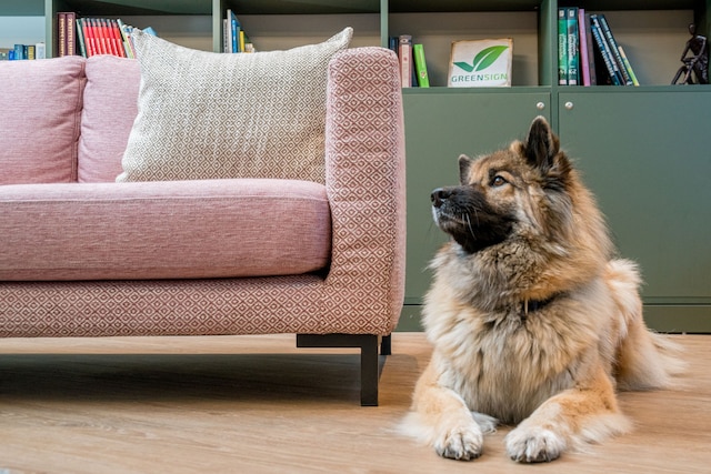 KOOS ホテル＆アパートメンツ