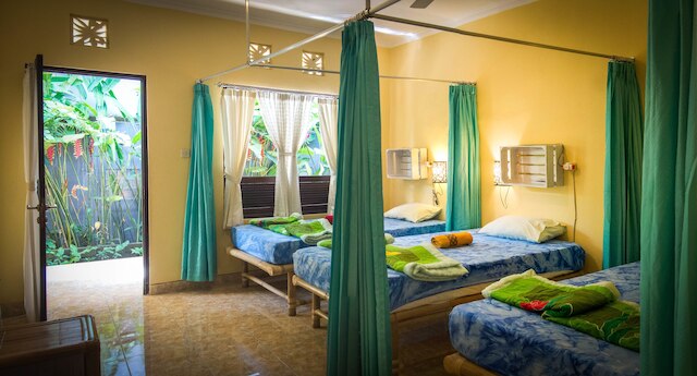 グリーン ビュー ウィディア