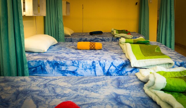 グリーン ビュー ウィディア