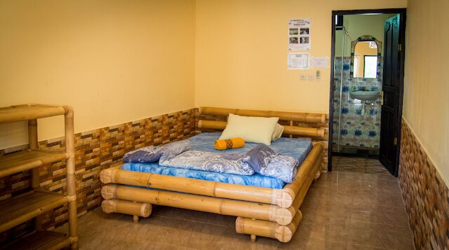 グリーン ビュー ウィディア