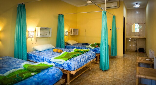 グリーン ビュー ウィディア