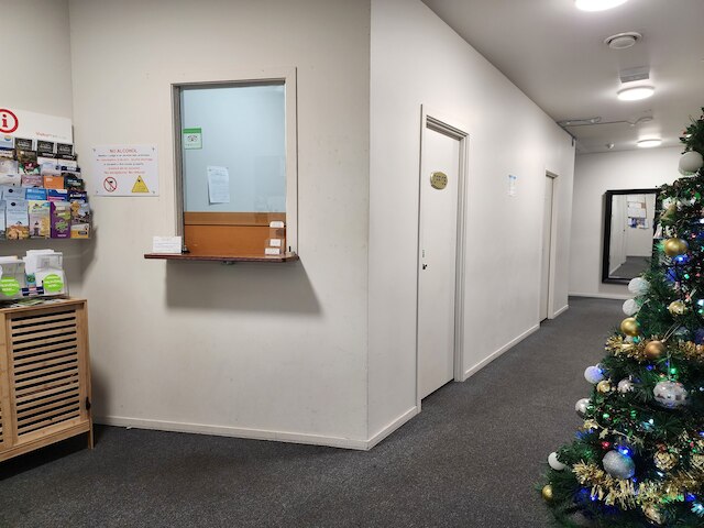 ニュートンロッジオークランド - ホステル