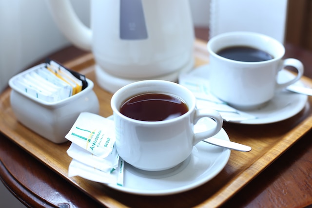 ホテル アヌゲラ パレンバン