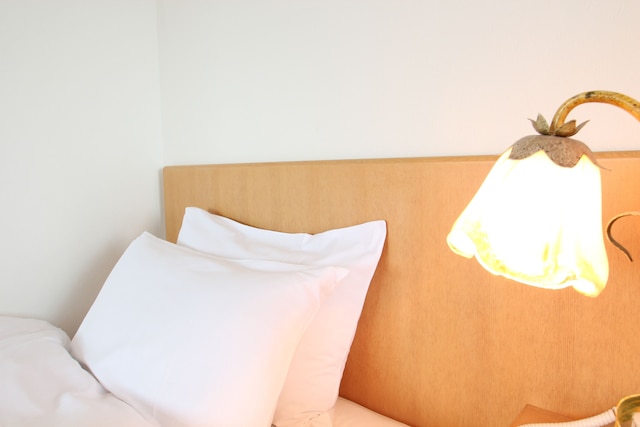 彦根びわこホテル