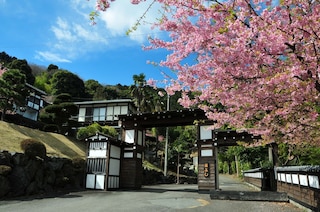 横浜藤よし伊豆店