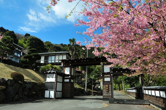 横浜藤よし伊豆店