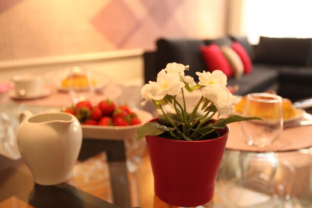 ニュー オポルト アパートメンツ - モウジーニョ