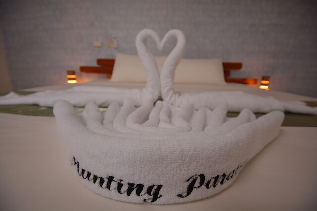 ミュンティング パライソ