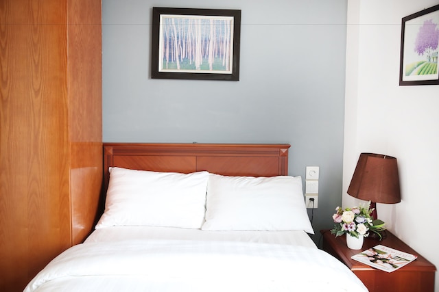 V-スタジオ ホテル アパートメント 3