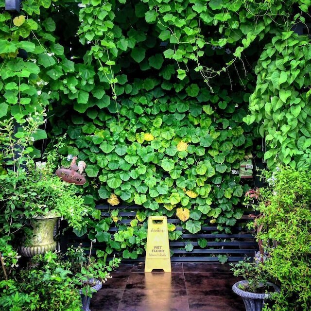 ナトナリン ホテル