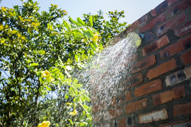 フエ エコロッジ