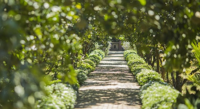 フエ エコロッジ