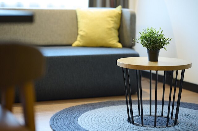 シティデン ズイダス