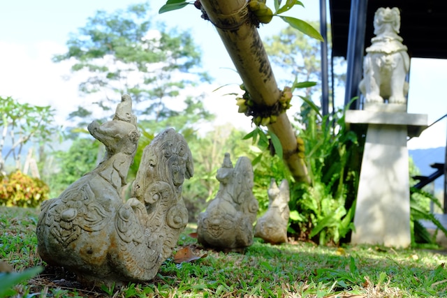 モック ファー モン ゴ リゾート