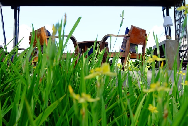 モック ファー モン ゴ リゾート