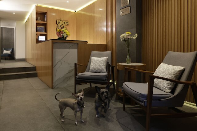 レフォルマ ゲスト ハウス