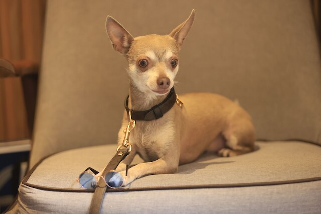 レフォルマ ゲスト ハウス