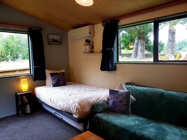 ハイト オブ ダニーデン