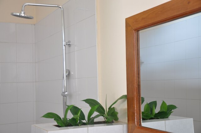 トリニティ ファミリー イン