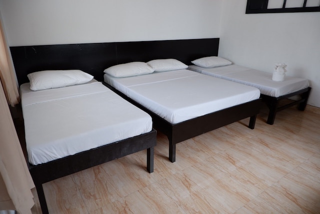 ラ プラヤ エストレラ ビーチ リゾート