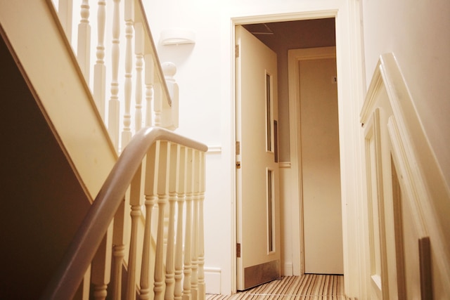 コンフォテル PRPL