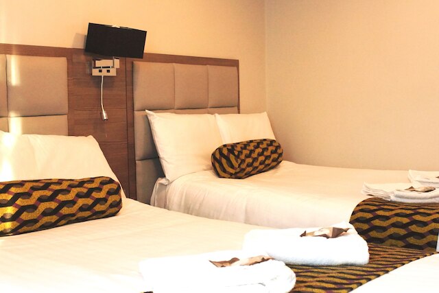 コンフォテル PRPL