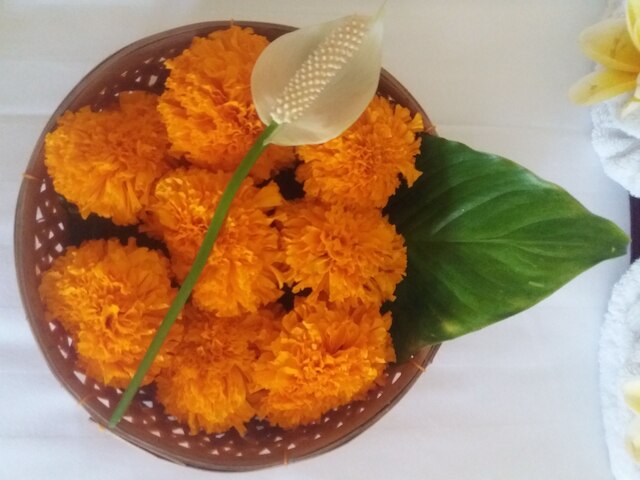 リエール ハウス