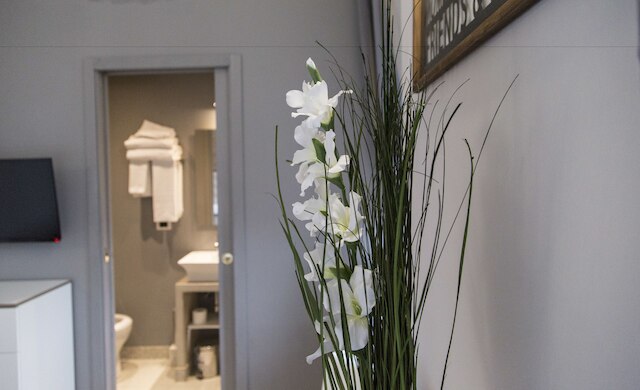 コルソ エクスペリエンス