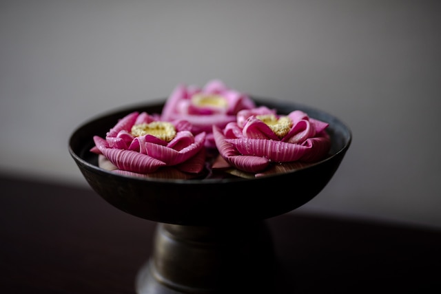 ジャヤ ハウス リバー パーク ホテル